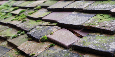 Llanddona roof repair costs